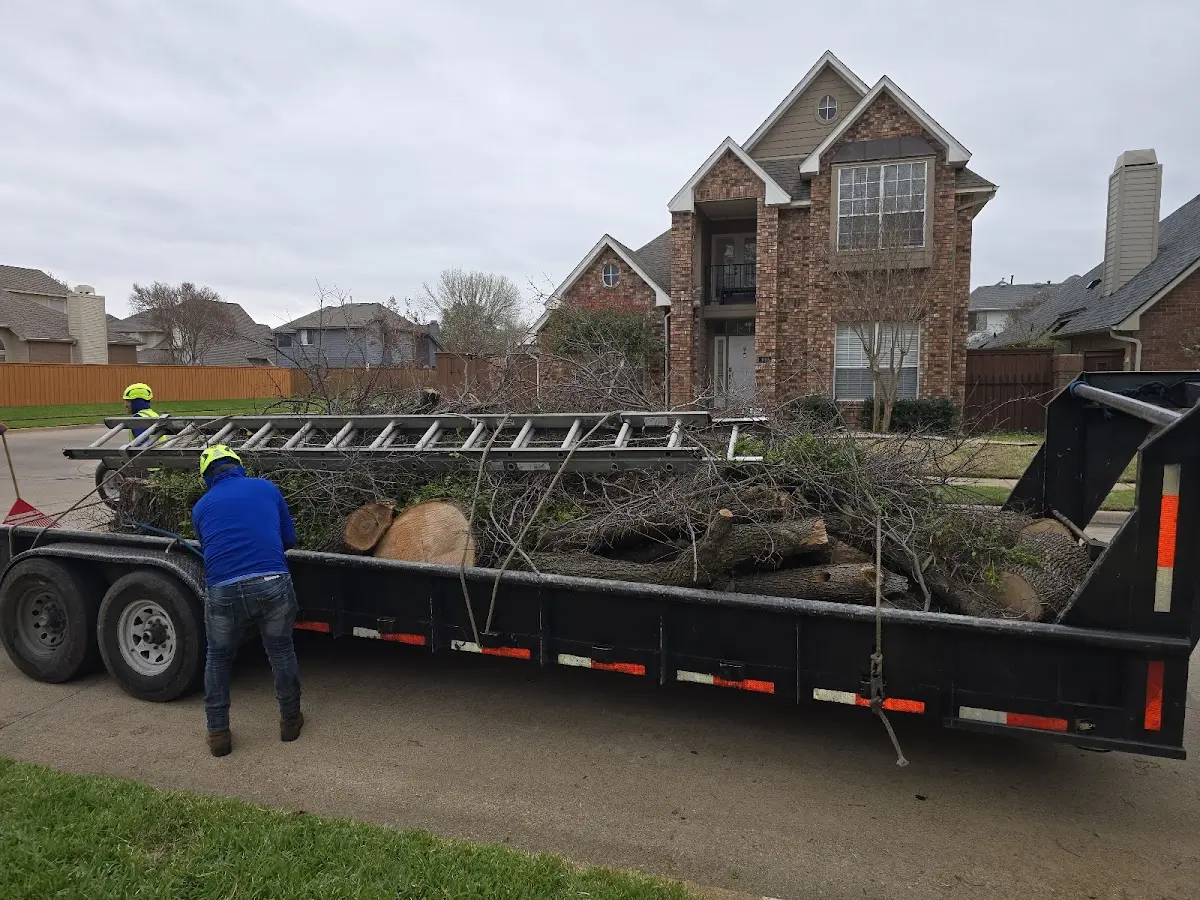 Expert Tree Removal with proper safety equipment in Wyandotte